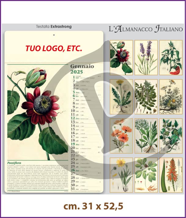 Stampa Calendari Illustrati in Offerta calendari-olandesi-illustrati-personalizzati-2025-in-offerta-erboristeria-pa011
