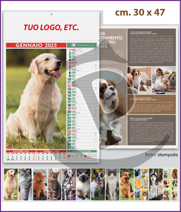 calendari-olandesi-illustrati-2025-in-offerta-cani-e-gatti-pa108