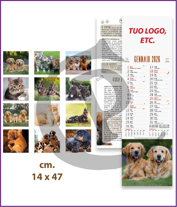 Stampa Primo Prezzo Calendari Silhouette Illustrati Personalizzati Economici 2026 Modello SF002