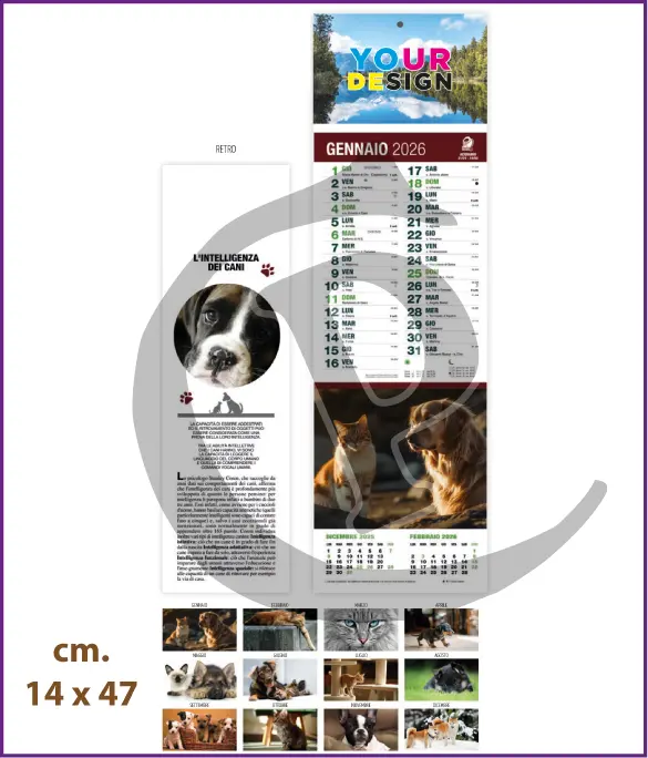 Stampa Primo Prezzo Calendari Silhouette Illustrati Personalizzati Economici 2026 Modello SF011